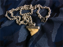 Nautical style fine silver rolo chain, with carved shark tooth pendant