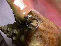 Queen conch shell ring, pure fine .999+ silver and pink conch shell, size US 4.75