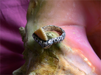 Pure silver hand welded ring & carved shark tooth