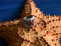 Starfish ring, hadmade in pure silver and red coral