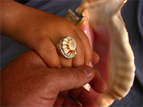 Conch Shell Ring Lightning Whelk 